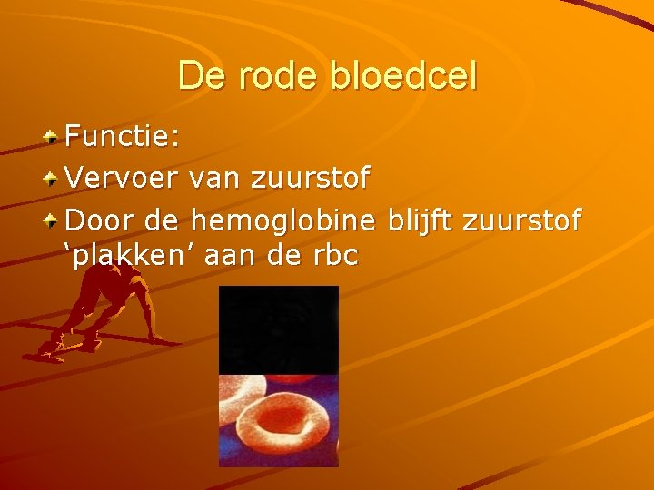 Bloedvatenstelsel Functie Vervoer zuurstof en koolstofdioxide Vervoer