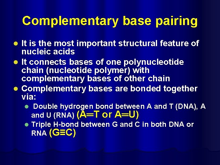 Complementary base pairing l l l It is the most important structural feature of