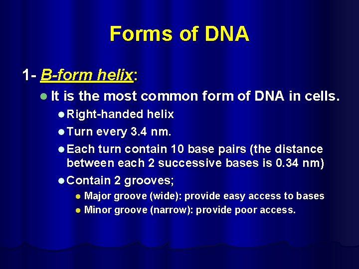Forms of DNA 1 - B-form helix: l It is the most common form