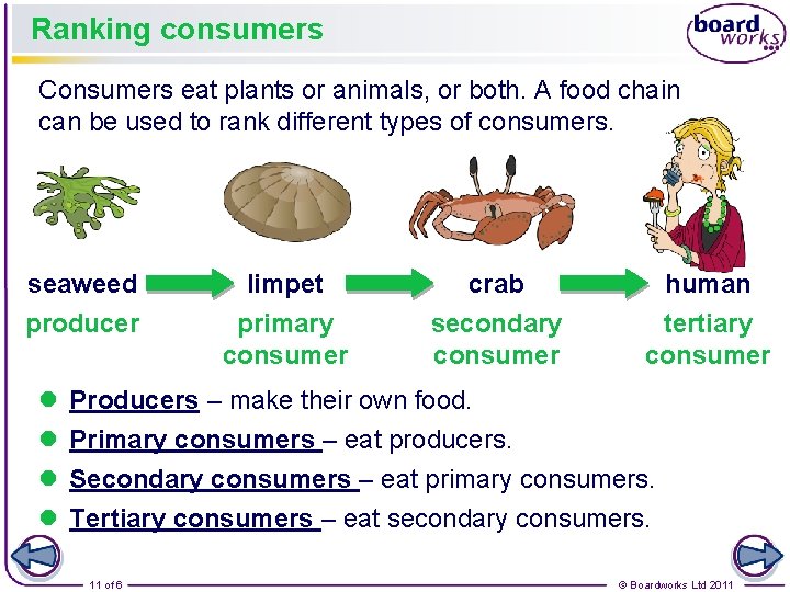 Ranking consumers Consumers eat plants or animals, or both. A food chain can be