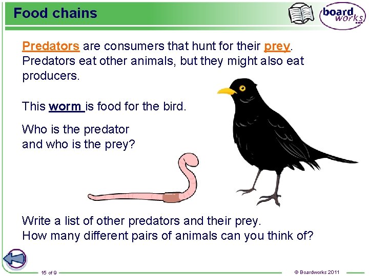 Food chains Predators are consumers that hunt for their prey. Predators eat other animals,