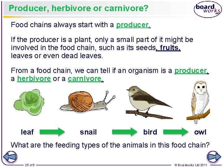 Producer, herbivore or carnivore? Food chains always start with a producer. If the producer