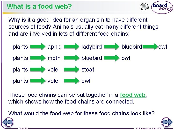 What is a food web? Why is it a good idea for an organism