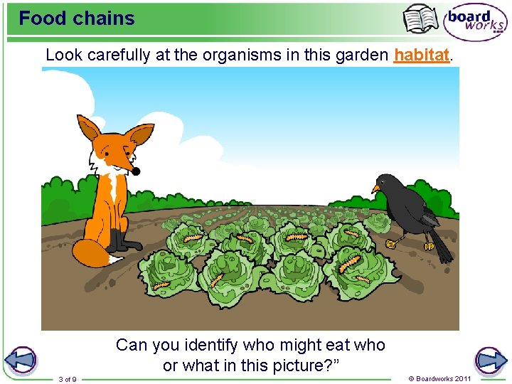 Food chains Look carefully at the organisms in this garden habitat. Can you identify