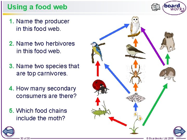 Using a food web 1. Name the producer in this food web. 2. Name