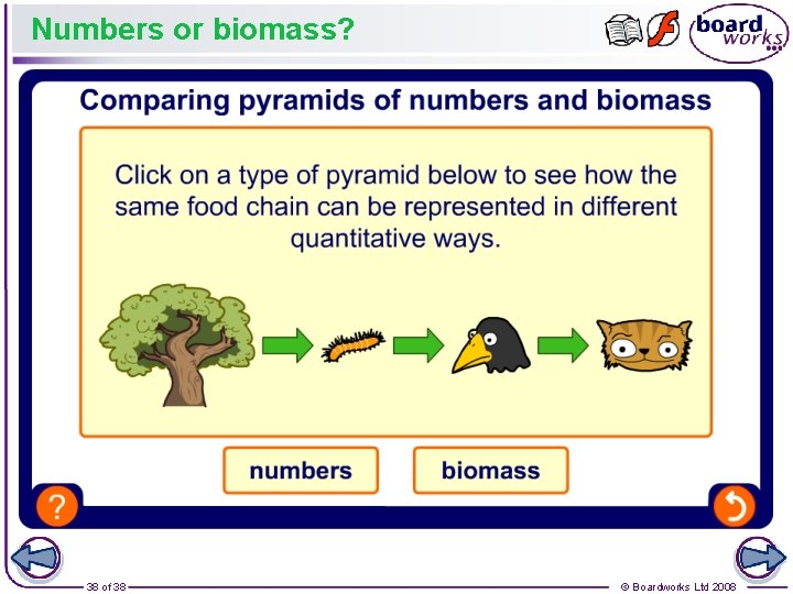 Numbers or biomass? 38 of 38 © Boardworks Ltd 2008 