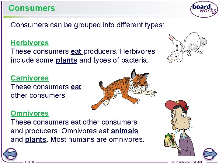Consumers can be grouped into different types: Herbivores These consumers eat producers. Herbivores include