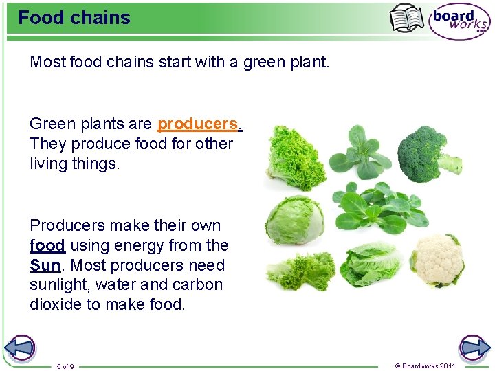 Food chains Most food chains start with a green plant. Green plants are producers.