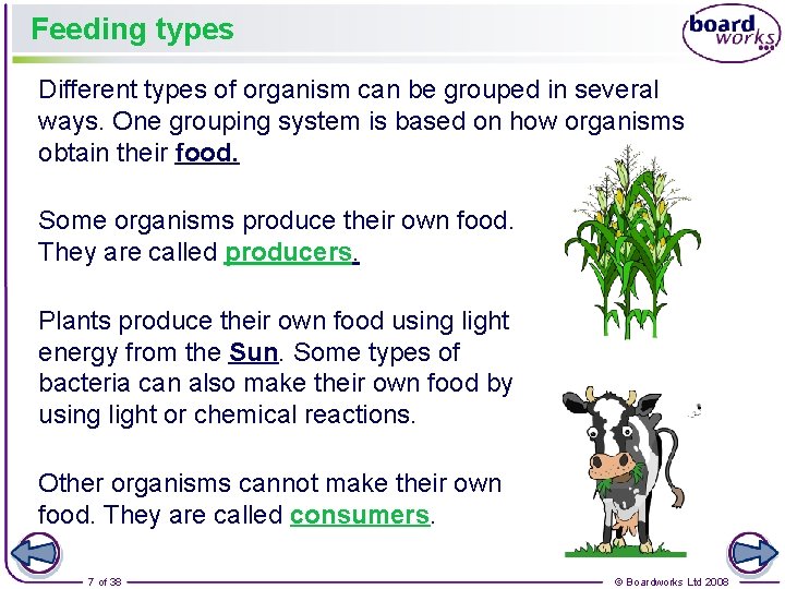 Feeding types Different types of organism can be grouped in several ways. One grouping