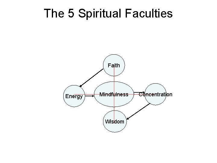 The 5 Spiritual Faculties Faith Energy Mindfulness Wisdom Concentration 