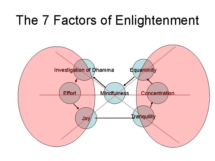 The 7 Factors of Enlightenment Investigation of Dhamma Effort Mindfulness Joy Equanimity Concentration Tranquility