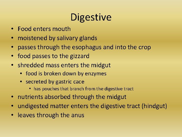 Digestive • • • Food enters mouth moistened by salivary glands passes through the Digestive • • • Food enters mouth moistened by salivary glands passes through the