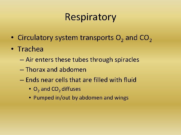 Respiratory • Circulatory system transports O 2 and CO 2 • Trachea – Air Respiratory • Circulatory system transports O 2 and CO 2 • Trachea – Air