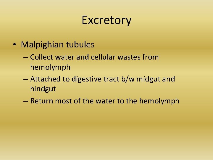 Excretory • Malpighian tubules – Collect water and cellular wastes from hemolymph – Attached Excretory • Malpighian tubules – Collect water and cellular wastes from hemolymph – Attached