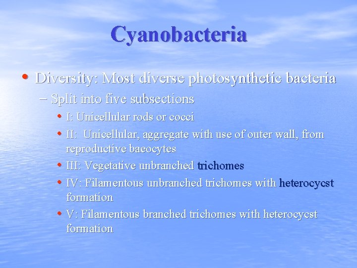 Cyanobacteria • Diversity: Most diverse photosynthetic bacteria – Split into five subsections • I: