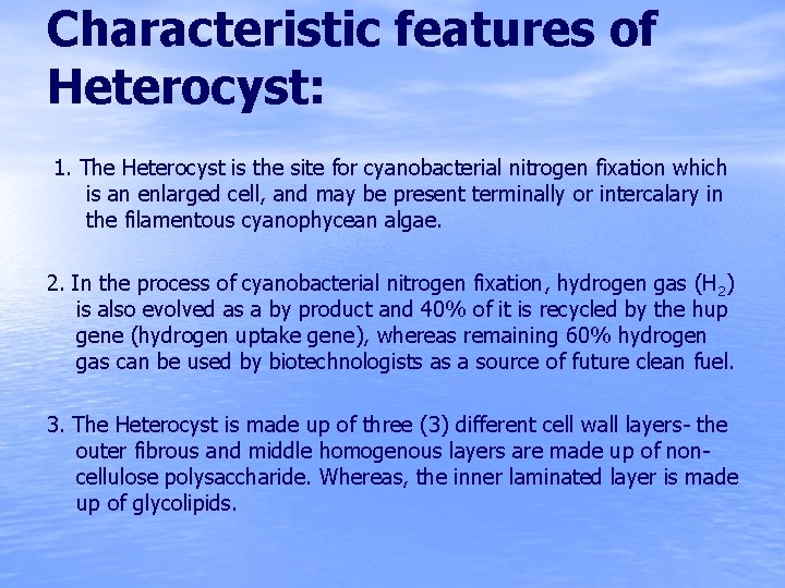 Characteristic features of Heterocyst: 1. The Heterocyst is the site for cyanobacterial nitrogen fixation