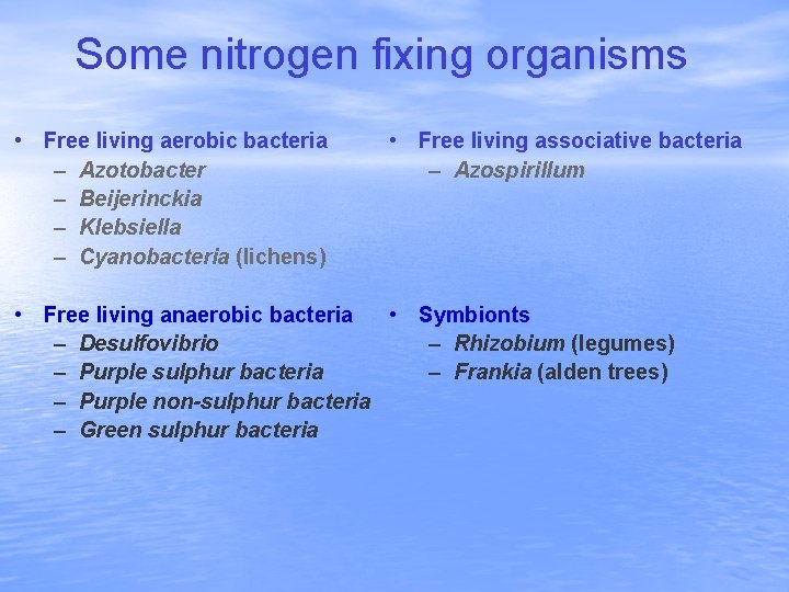 Some nitrogen fixing organisms • Free living aerobic bacteria – Azotobacter – Beijerinckia –