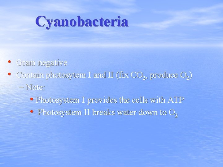 Cyanobacteria • Gram negative • Contain photosytem I and II (fix CO 2, produce