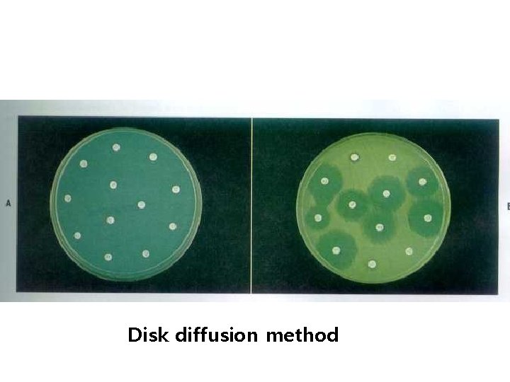 Disk diffusion method 