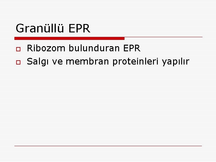Granüllü EPR o o Ribozom bulunduran EPR Salgı ve membran proteinleri yapılır 