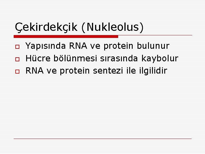 Çekirdekçik (Nukleolus) o o o Yapısında RNA ve protein bulunur Hücre bölünmesi sırasında kaybolur