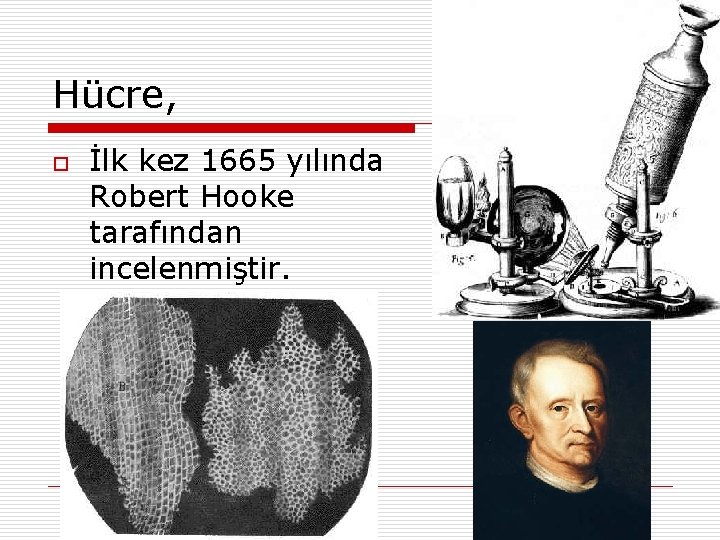 Hücre, o İlk kez 1665 yılında Robert Hooke tarafından incelenmiştir. 