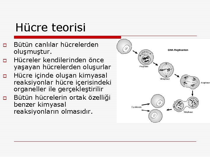 Hücre teorisi o o Bütün canlılar hücrelerden oluşmuştur. Hücreler kendilerinden önce yaşayan hücrelerden oluşurlar