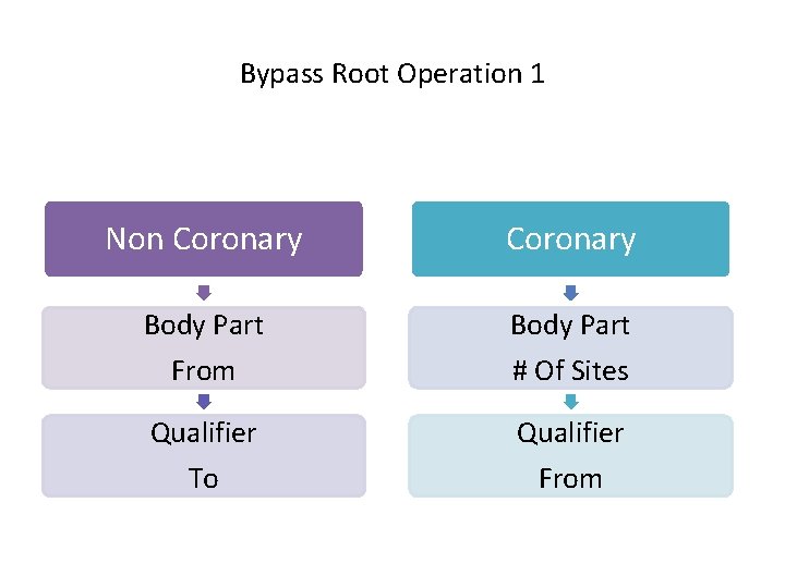Bypass Root Operation 1 Non Coronary Body Part From # Of Sites Qualifier To