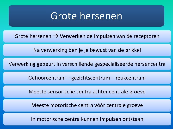 Grote hersenen Verwerken de impulsen van de receptoren Na verwerking ben je je bewust