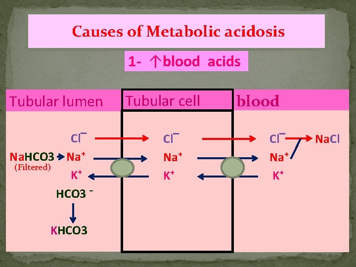 Causes of Metabolic acidosis 1 - ↑blood acids Tubular lumen Cl‾ Na. HCO 3