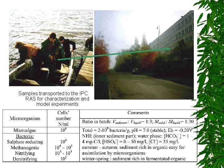 Samples transported to the IPC RAS for characterization and model experiments 