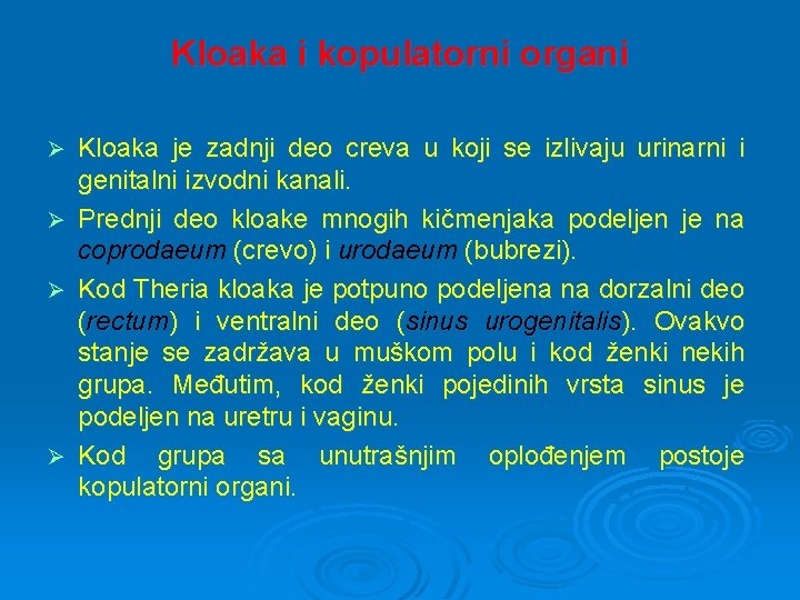Kloaka i kopulatorni organi Ø Ø Kloaka je zadnji deo creva u koji se