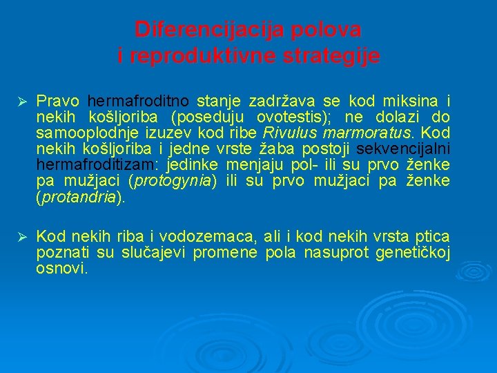 Diferencija polova i reproduktivne strategije Ø Pravo hermafroditno stanje zadržava se kod miksina i