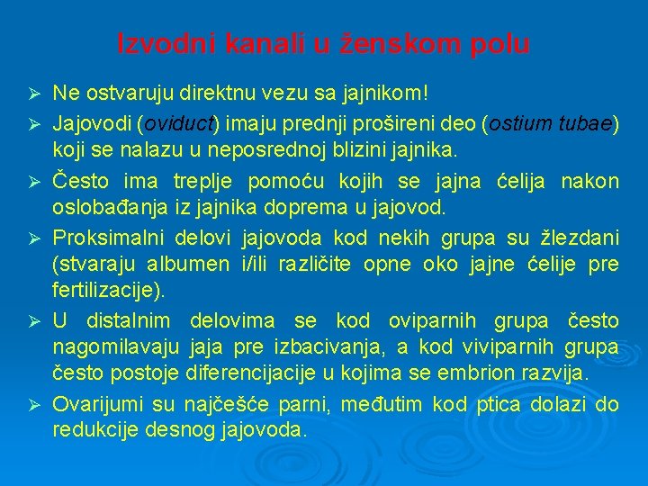 Izvodni kanali u ženskom polu Ø Ø Ø Ne ostvaruju direktnu vezu sa jajnikom!