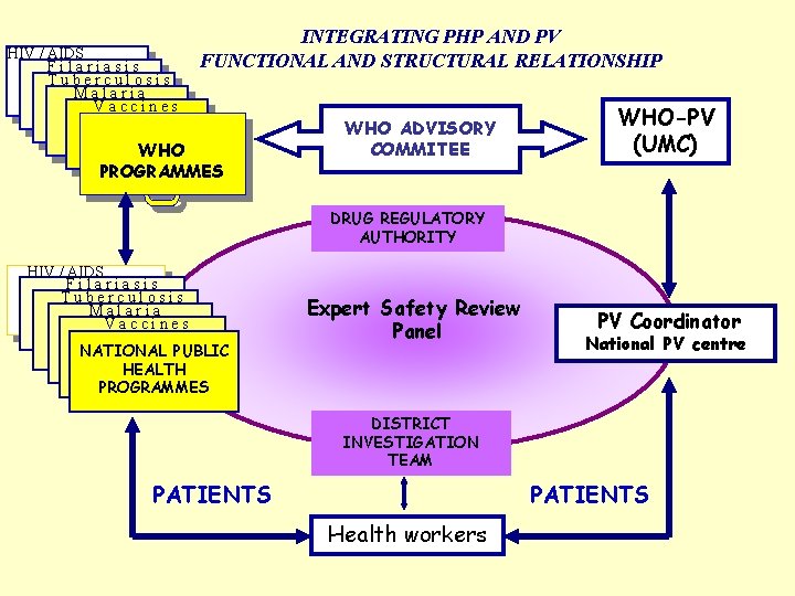 HIV / AIDS Filariasis Tuberculosis Malaria Vaccines INTEGRATING PHP AND PV FUNCTIONAL AND STRUCTURAL