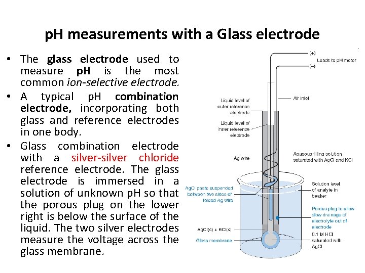 p. H measurements with a Glass electrode • The glass electrode used to measure