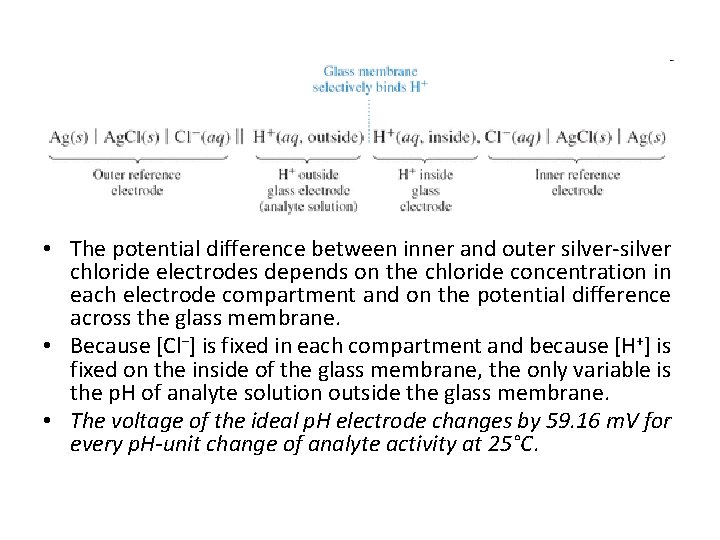  • The potential difference between inner and outer silver-silver chloride electrodes depends on