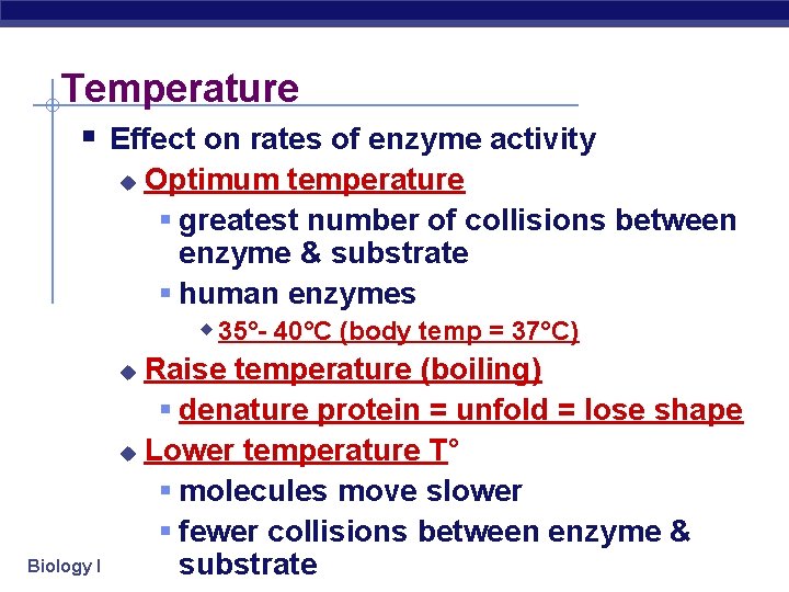 Temperature § Effect on rates of enzyme activity Optimum temperature § greatest number of
