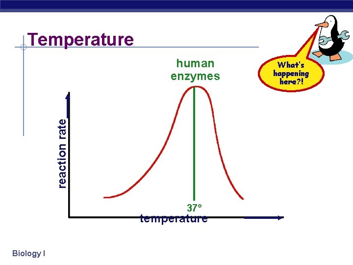 Temperature reaction rate human enzymes 37° temperature Biology I What’s happening here? ! 