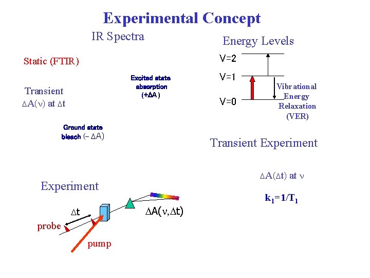 Experimental Concept IR Spectra Energy Levels V=2 Static (FTIR) Excited state absorption (+DA) Transient