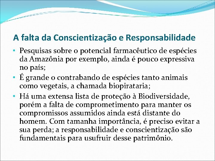  A falta da Conscientização e Responsabilidade • Pesquisas sobre o potencial farmacêutico de