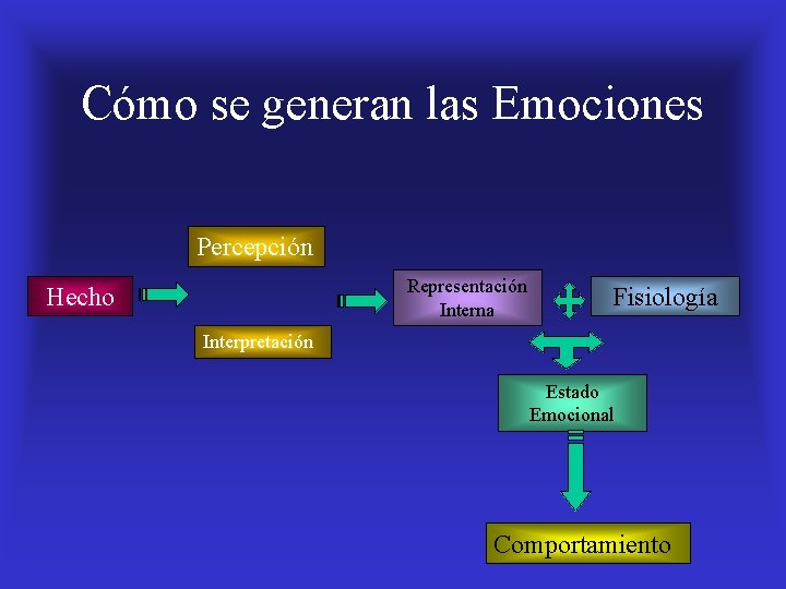 Cómo se generan las Emociones Percepción Representación Interna Hecho Fisiología Interpretación Estado Emocional Comportamiento