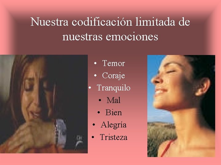 Nuestra codificación limitada de nuestras emociones • Temor • Coraje • Tranquilo • Mal