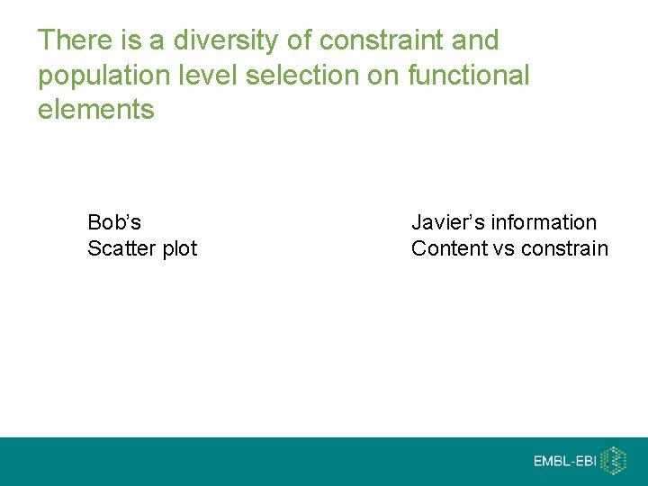 There is a diversity of constraint and population level selection on functional elements Bob’s