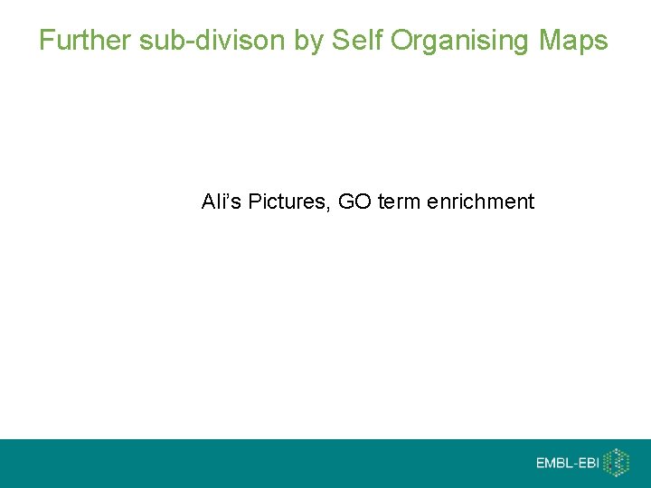 Further sub-divison by Self Organising Maps Ali’s Pictures, GO term enrichment 