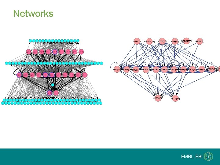 Networks 