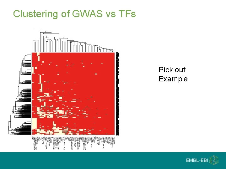 Clustering of GWAS vs TFs Pick out Example 