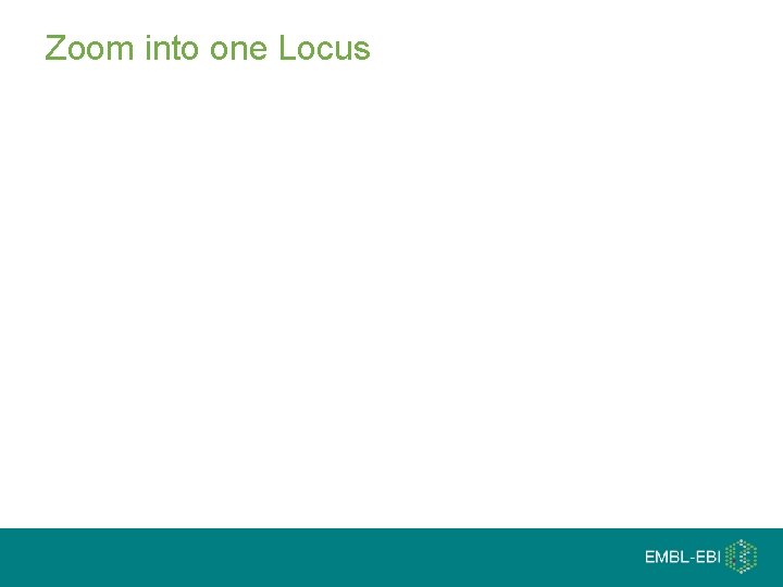 Zoom into one Locus 