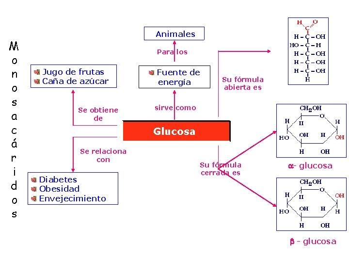 M o n o s a c á r i d o s Animales