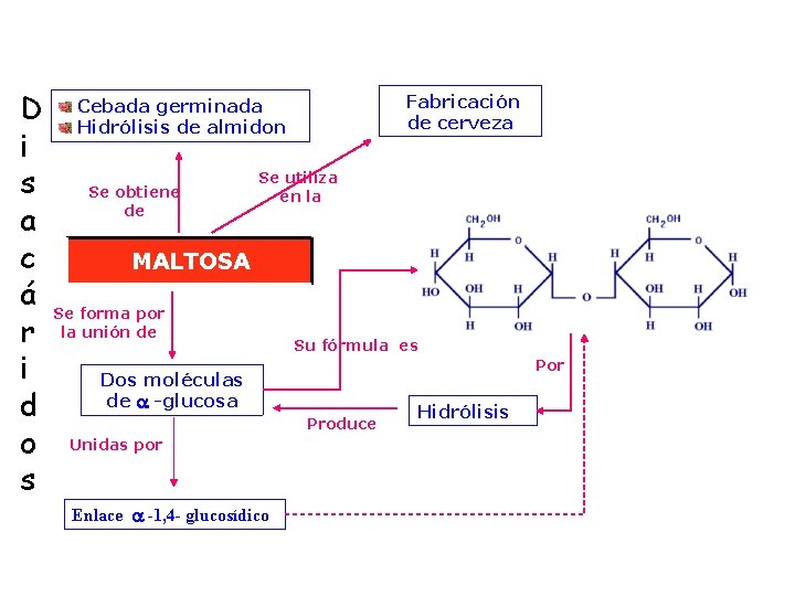 D i s a c á r i d o s Fabricación de cerveza